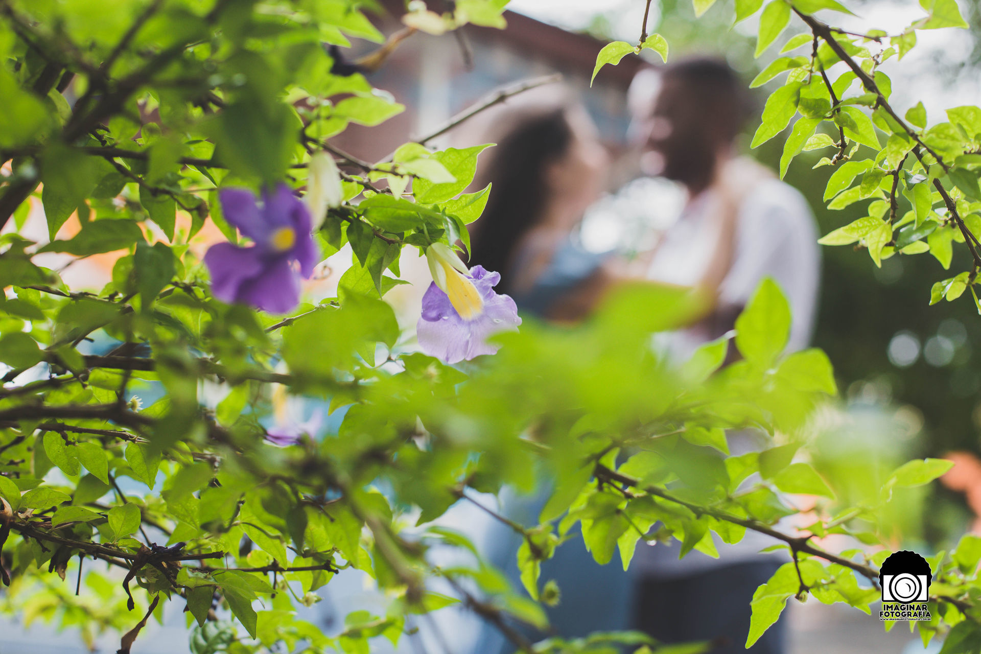 Foto Carol e Israel - São Sebastião - SP - Imagem 7