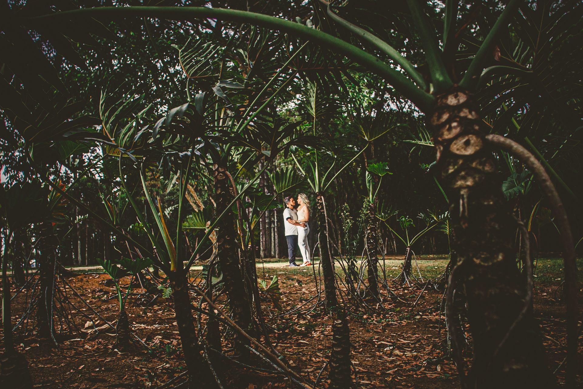 Foto Ensaio Sueli e Anderson - Setembro 2020 - Imagem 12