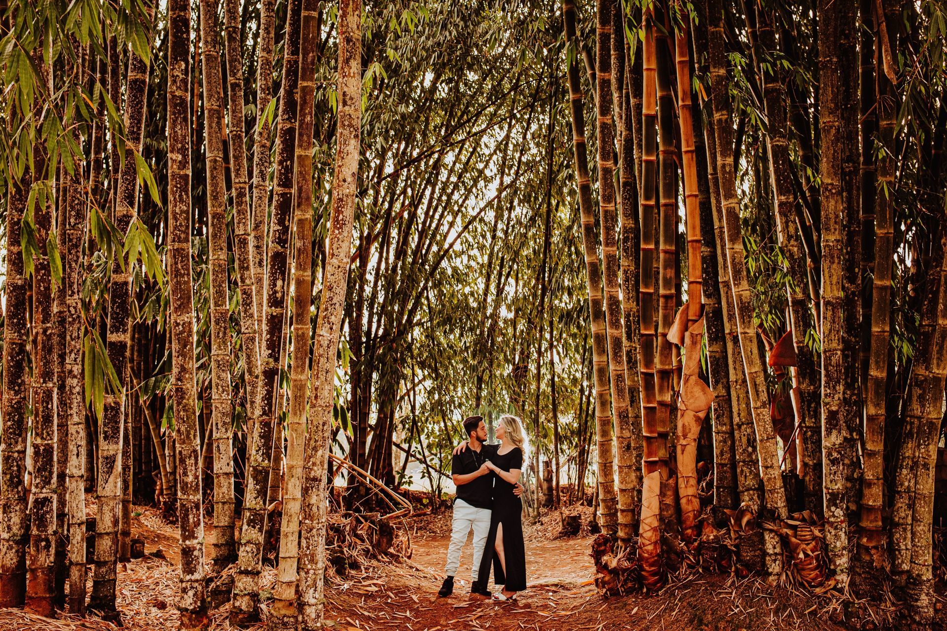 Foto Ensaio Sueli e Anderson - Setembro 2020 - Imagem 3