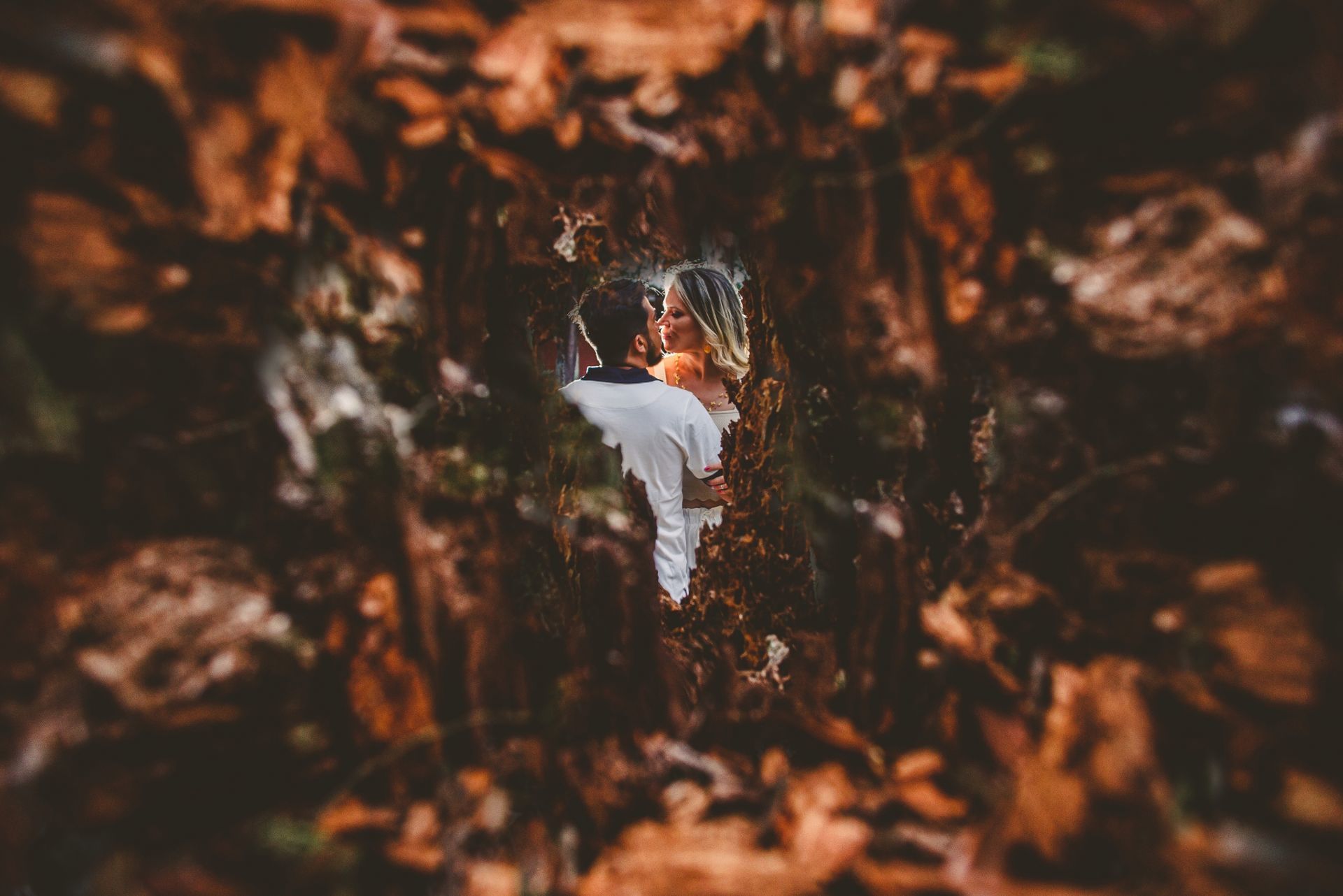 Foto Ensaio Sueli e Anderson - Setembro 2020 - Imagem 10