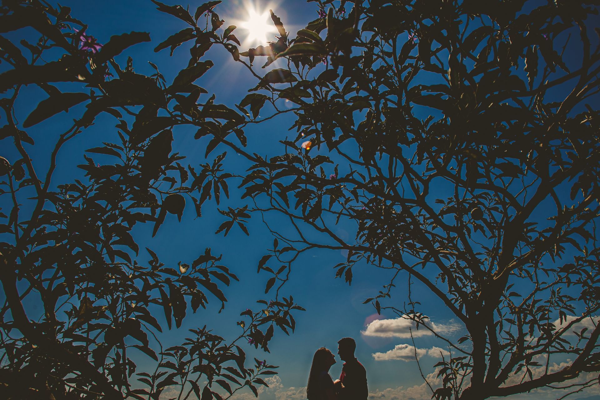 Foto Ensaio Bia e Jonas - Novembro 2020 - Imagem 5