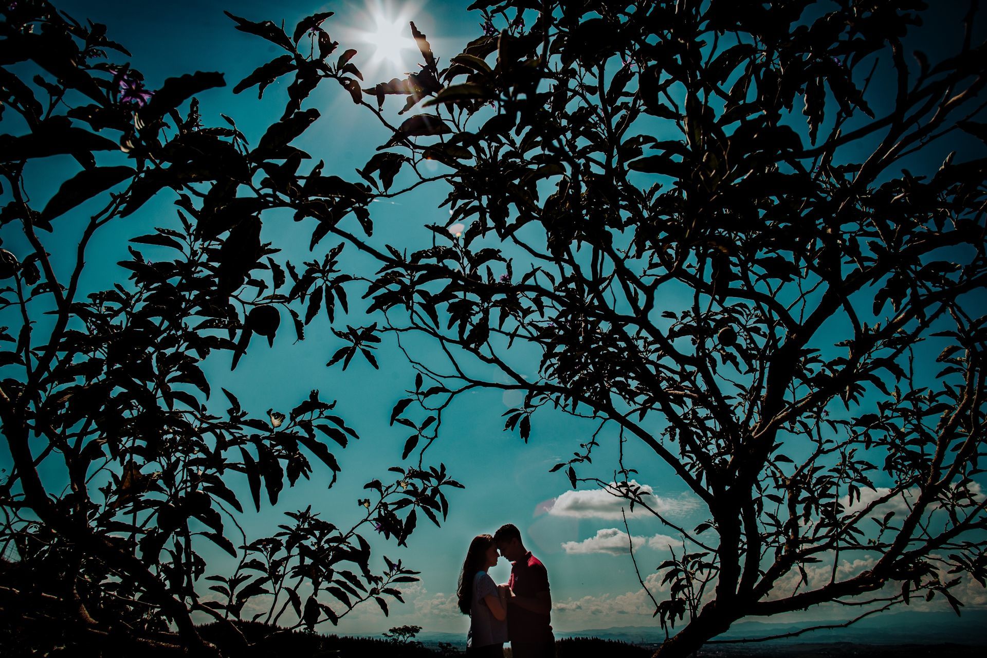 Foto Ensaio Bia e Jonas - Novembro 2020 - Imagem 6