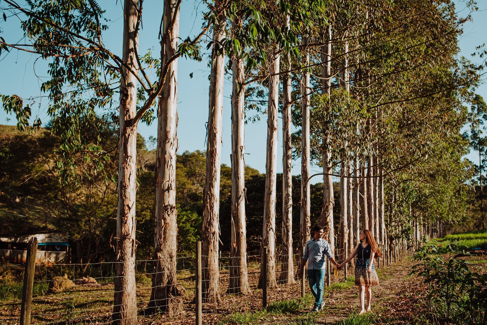 Foto Ensaio Bia e Jonas - Novembro 2020 - Imagem 22