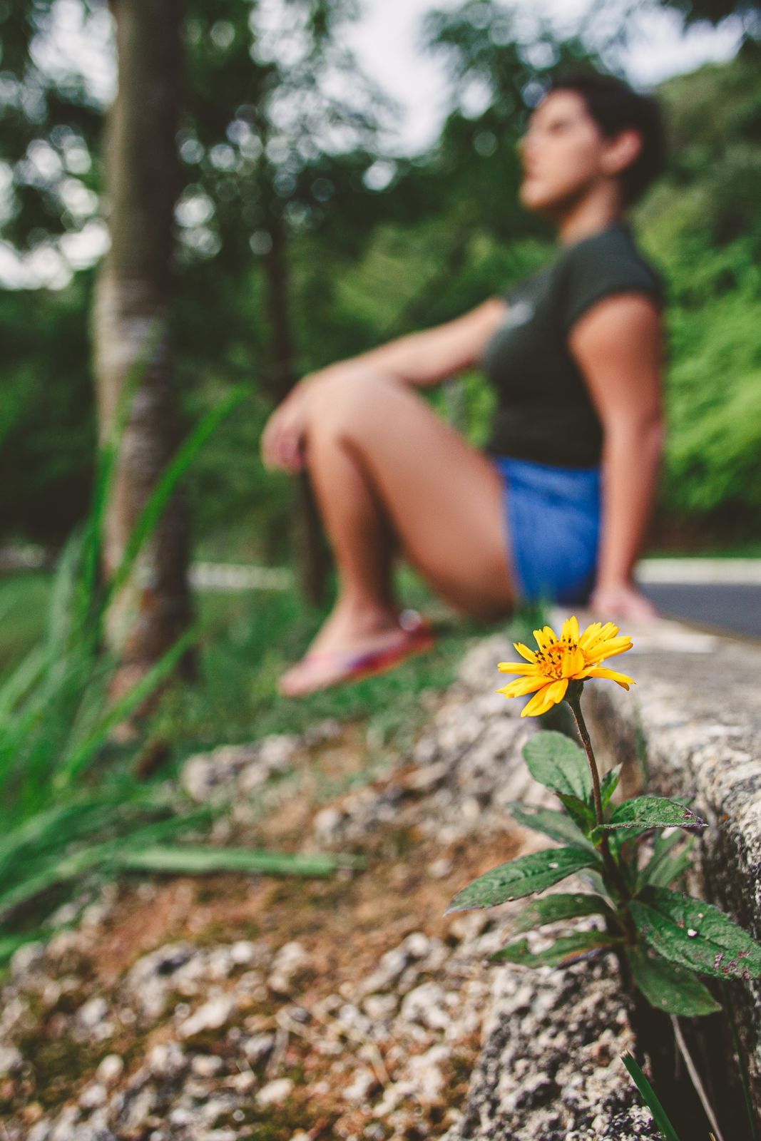 Foto Ensaio Ana Luiza - 15 Anos - Imagem 14