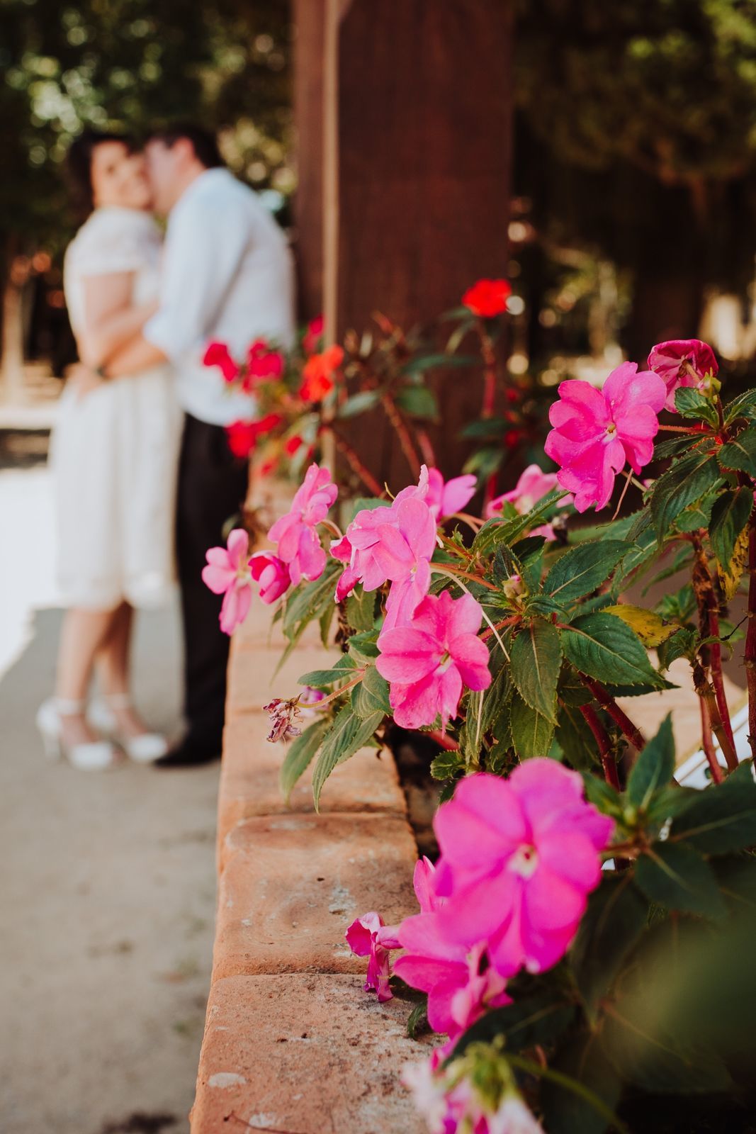 Foto Ensaio Paola e Ricardo - Imagem 30