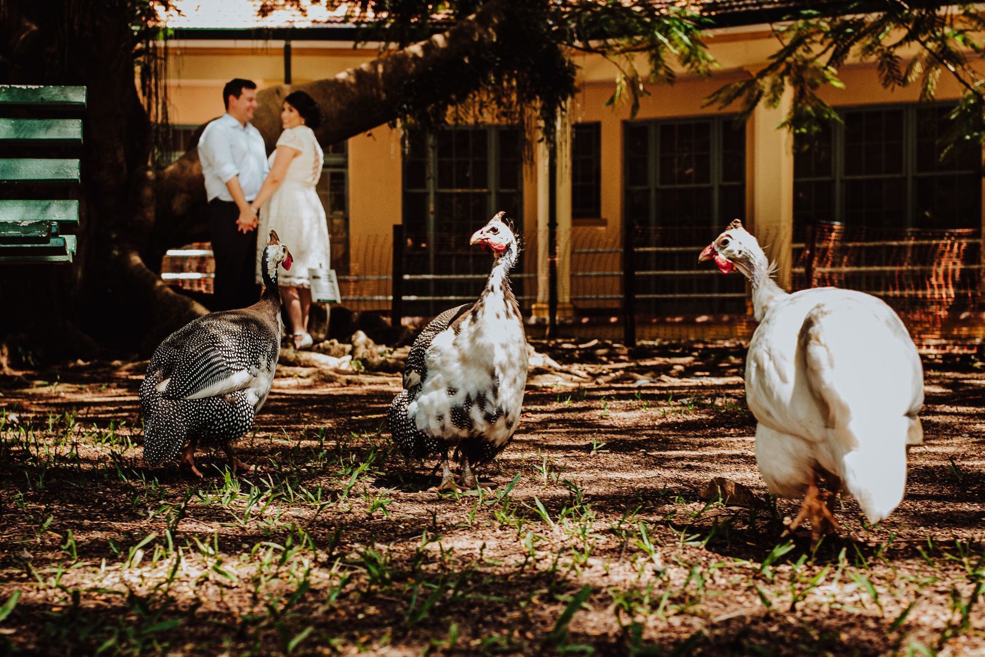 Foto Ensaio Paola e Ricardo - Imagem 45