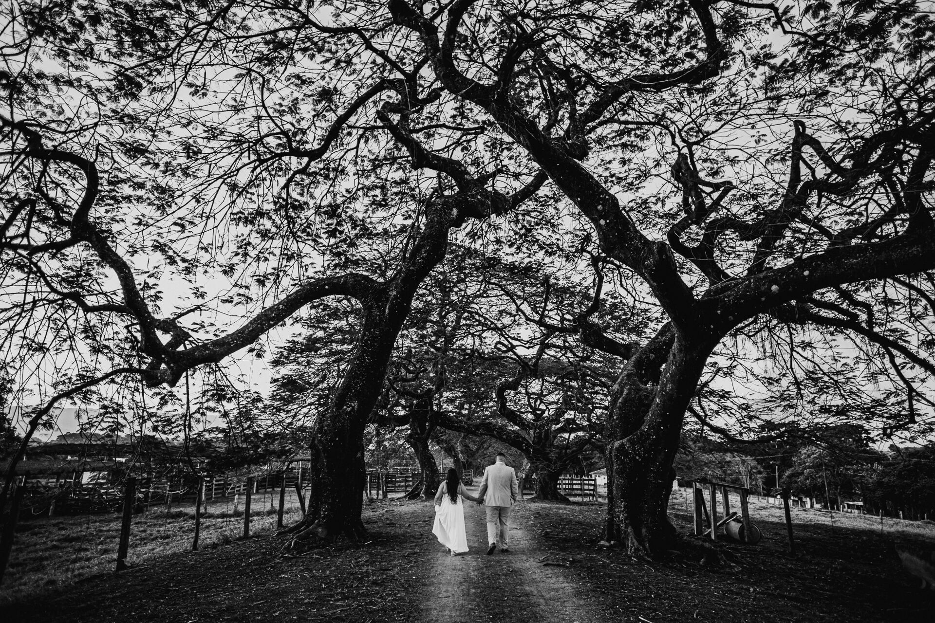 Foto Eliane e Diego 2021 Foto Eliane e Diego 2021 - Imagem 19