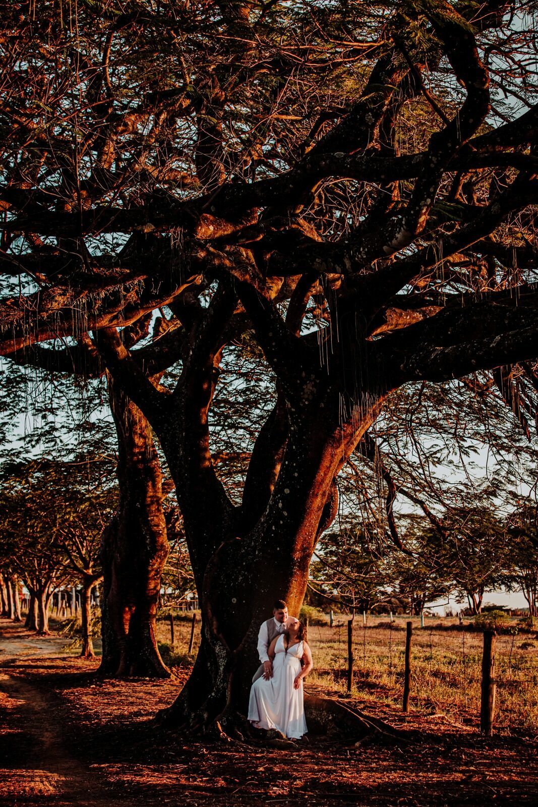 Foto Eliane e Diego 2021 Foto Eliane e Diego 2021 - Imagem 18