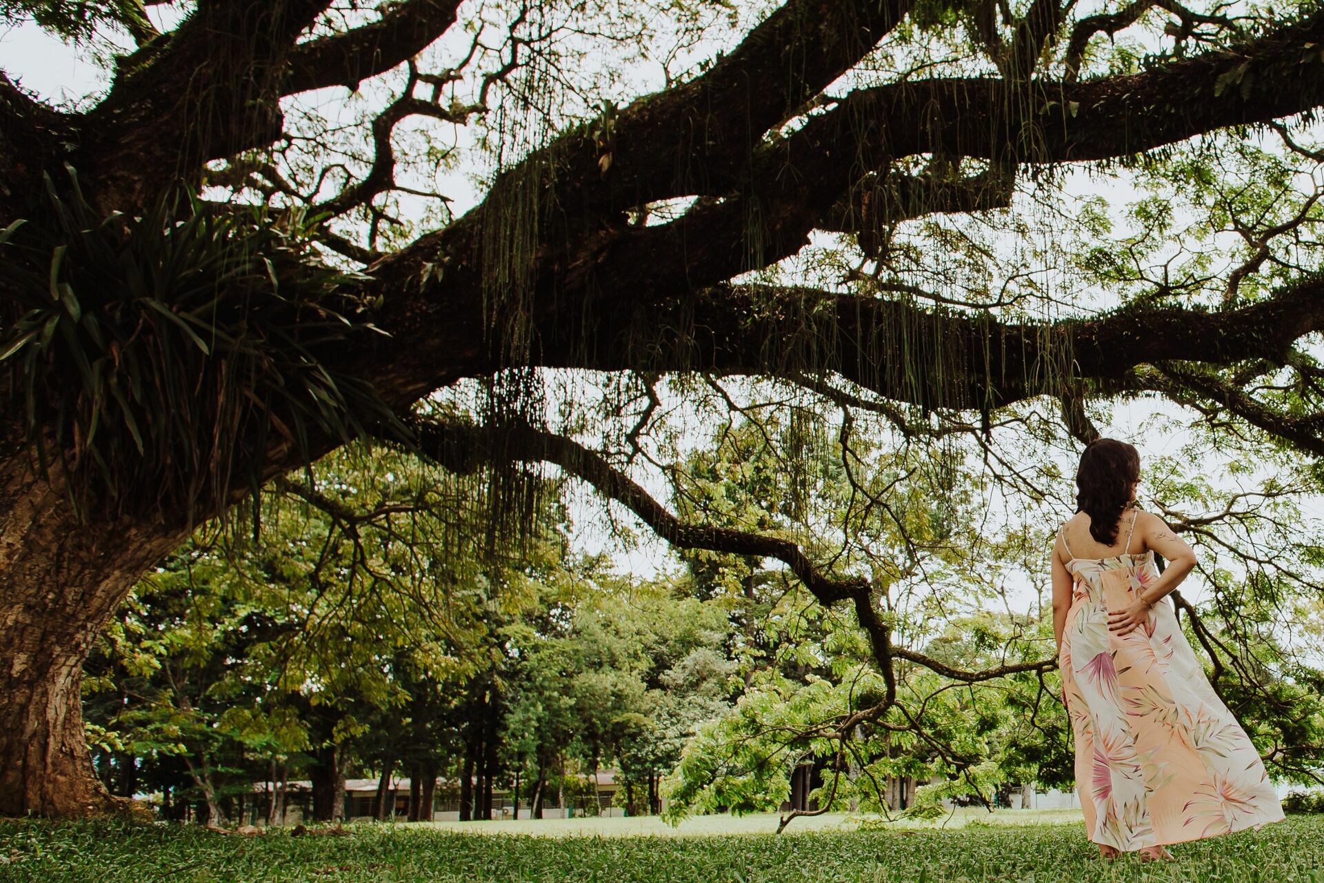 Foto Ensaio gestante - Fernanda e André - Imagem 25