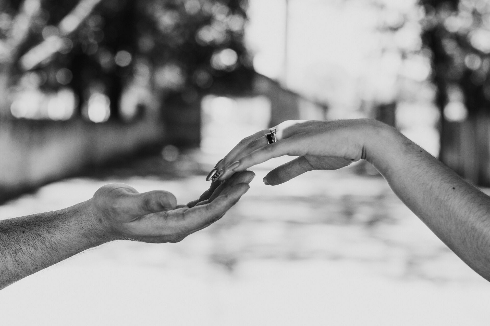 Foto Bruna e Marcos - 2021 - Imagem 8