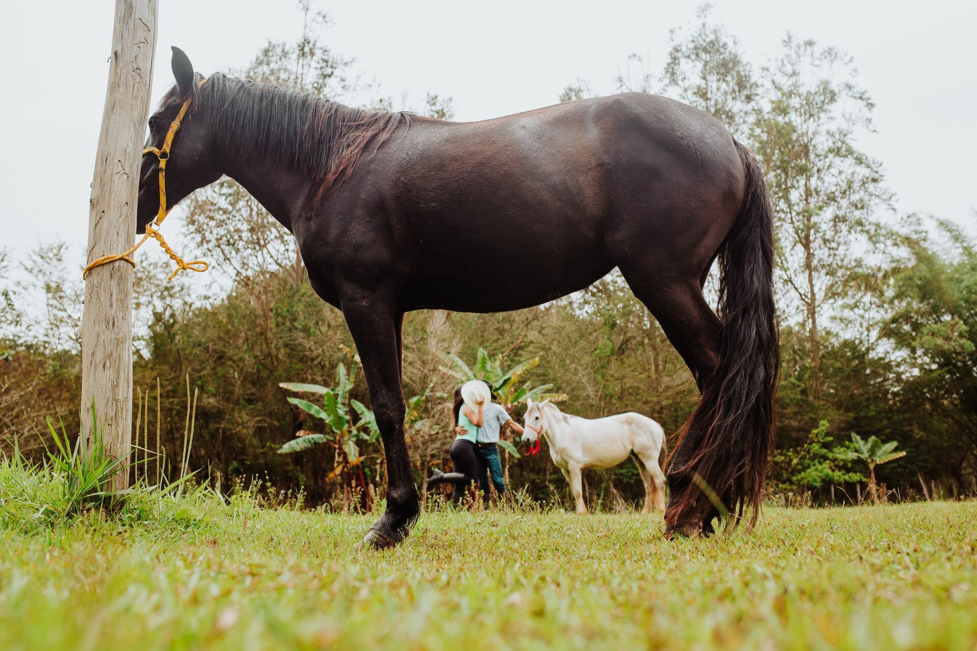 Foto Flávia e Jaelton - 2021 - Imagem 20
