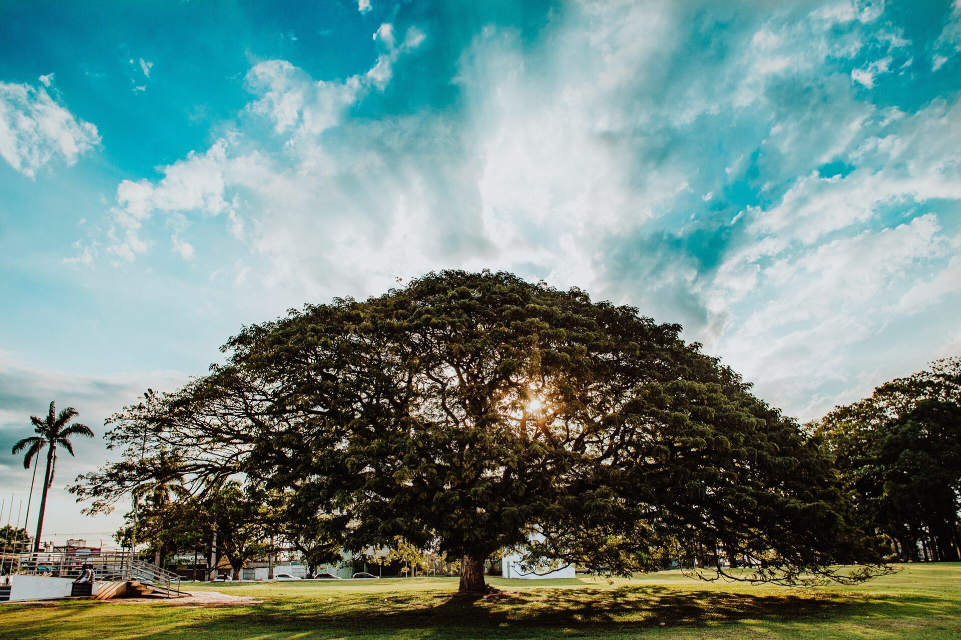 Foto Ingrid e Gabriel - 2021 - Imagem 4