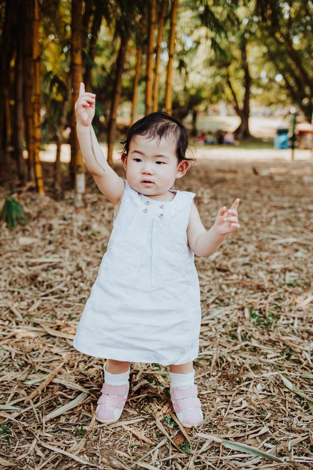 Foto Familia Nakaumura - Imagem 13