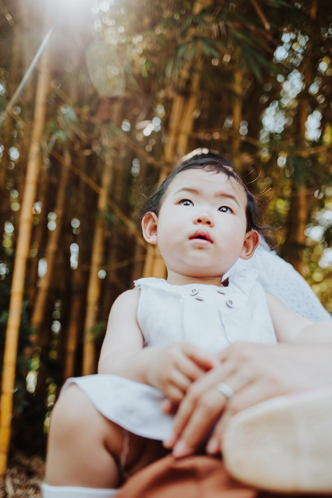 Foto Familia Nakaumura - Imagem 9