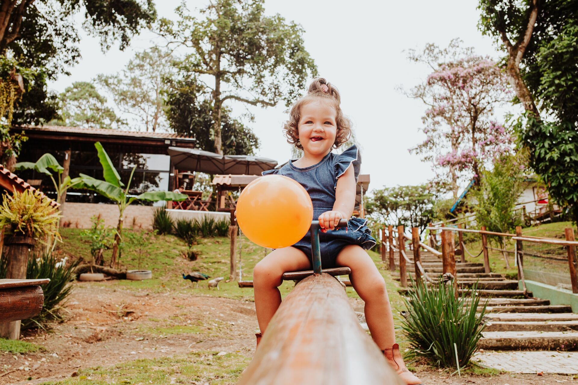 Foto Ensaio Laura - 2022 - Imagem 2