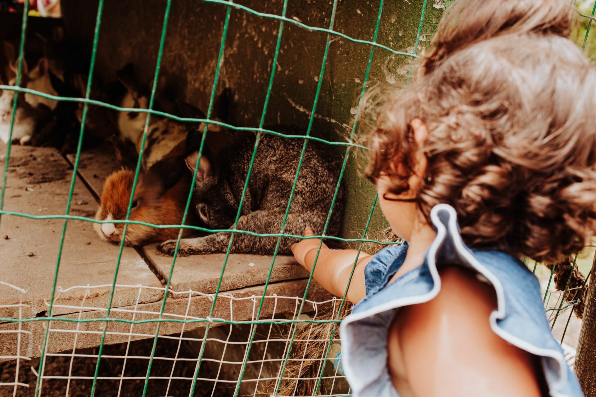 Foto Ensaio Laura - 2022 - Imagem 5