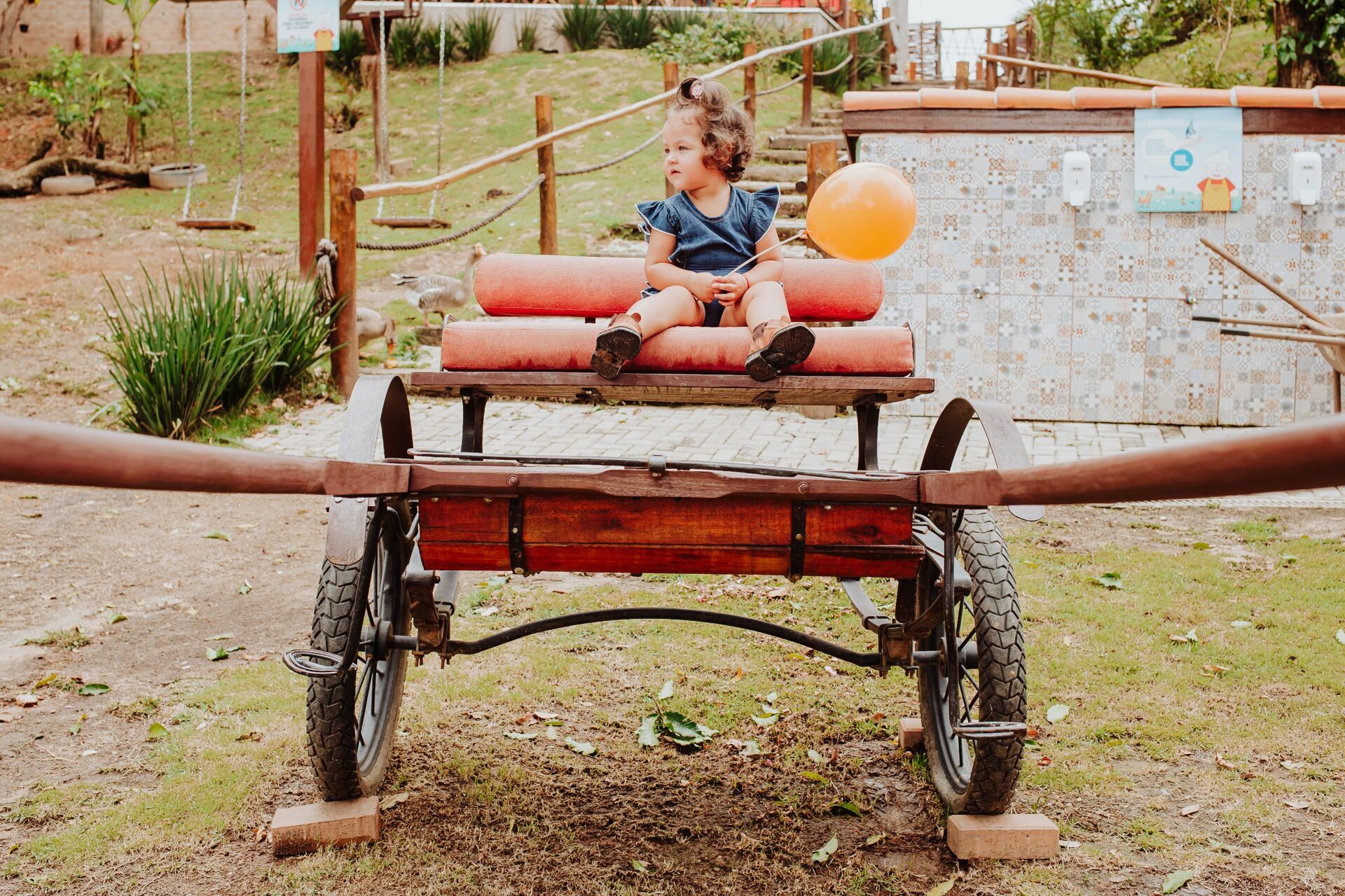 Foto Ensaio Laura - 2022 - Imagem 1