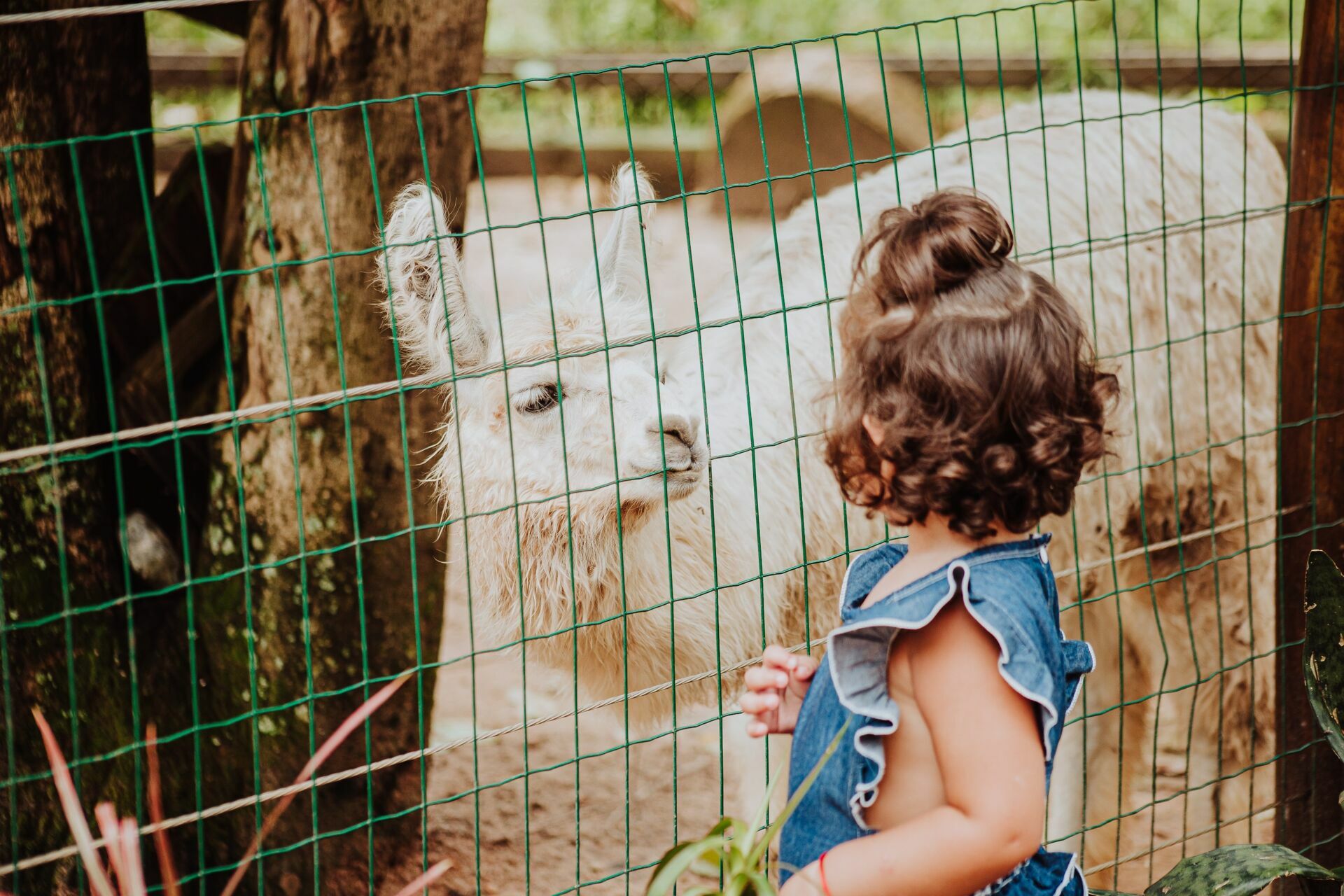 Foto Ensaio Laura - 2022 - Imagem 16