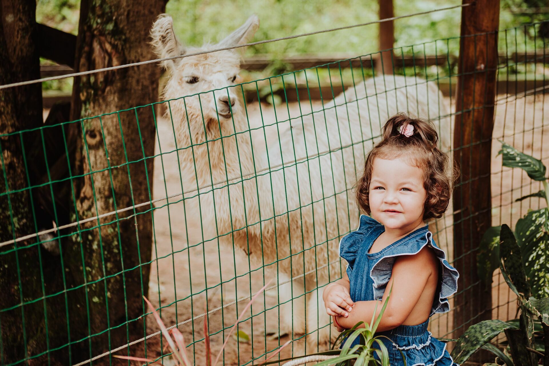 Foto Ensaio Laura - 2022 - Imagem 17