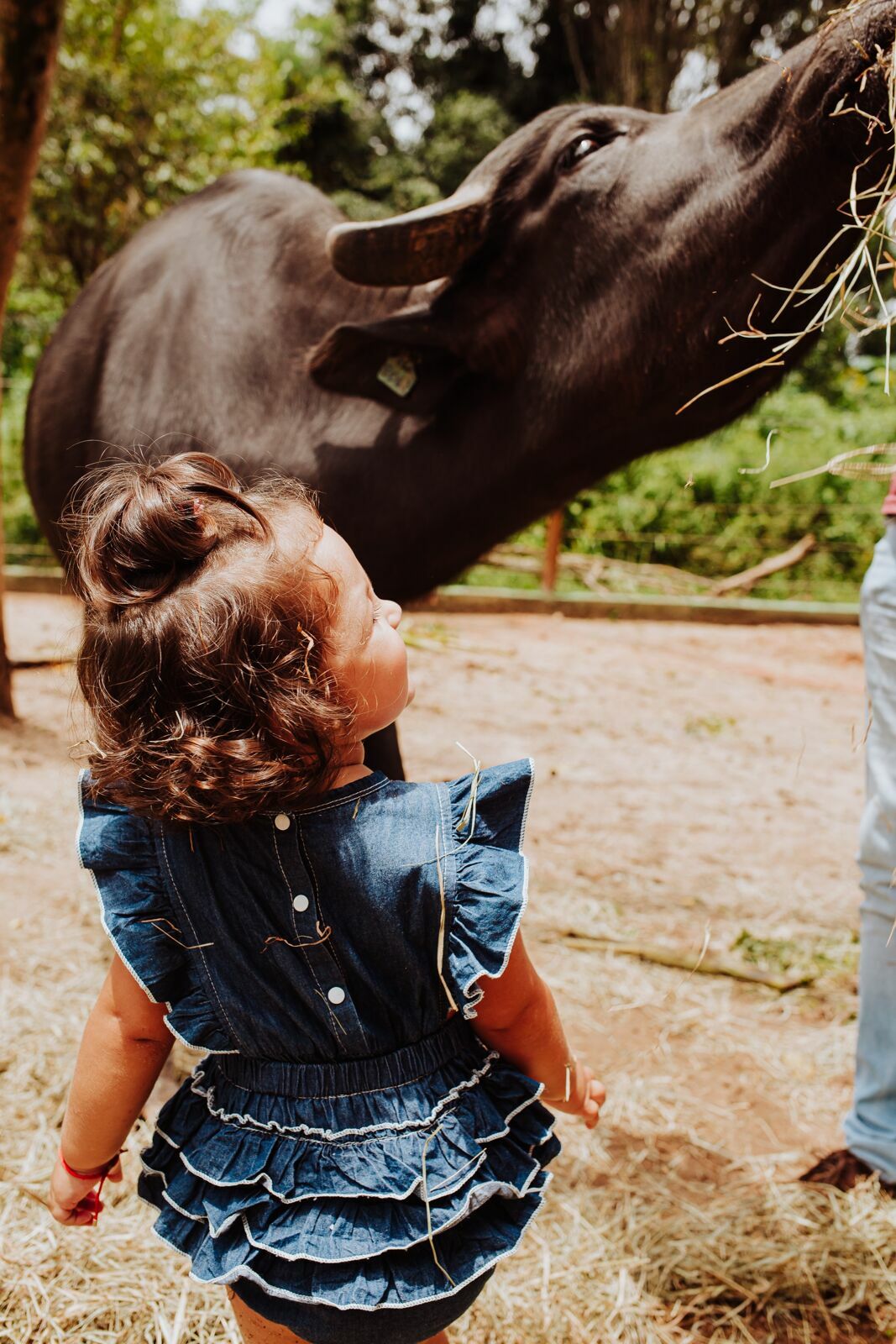 Foto Ensaio Laura - 2022 - Imagem 22