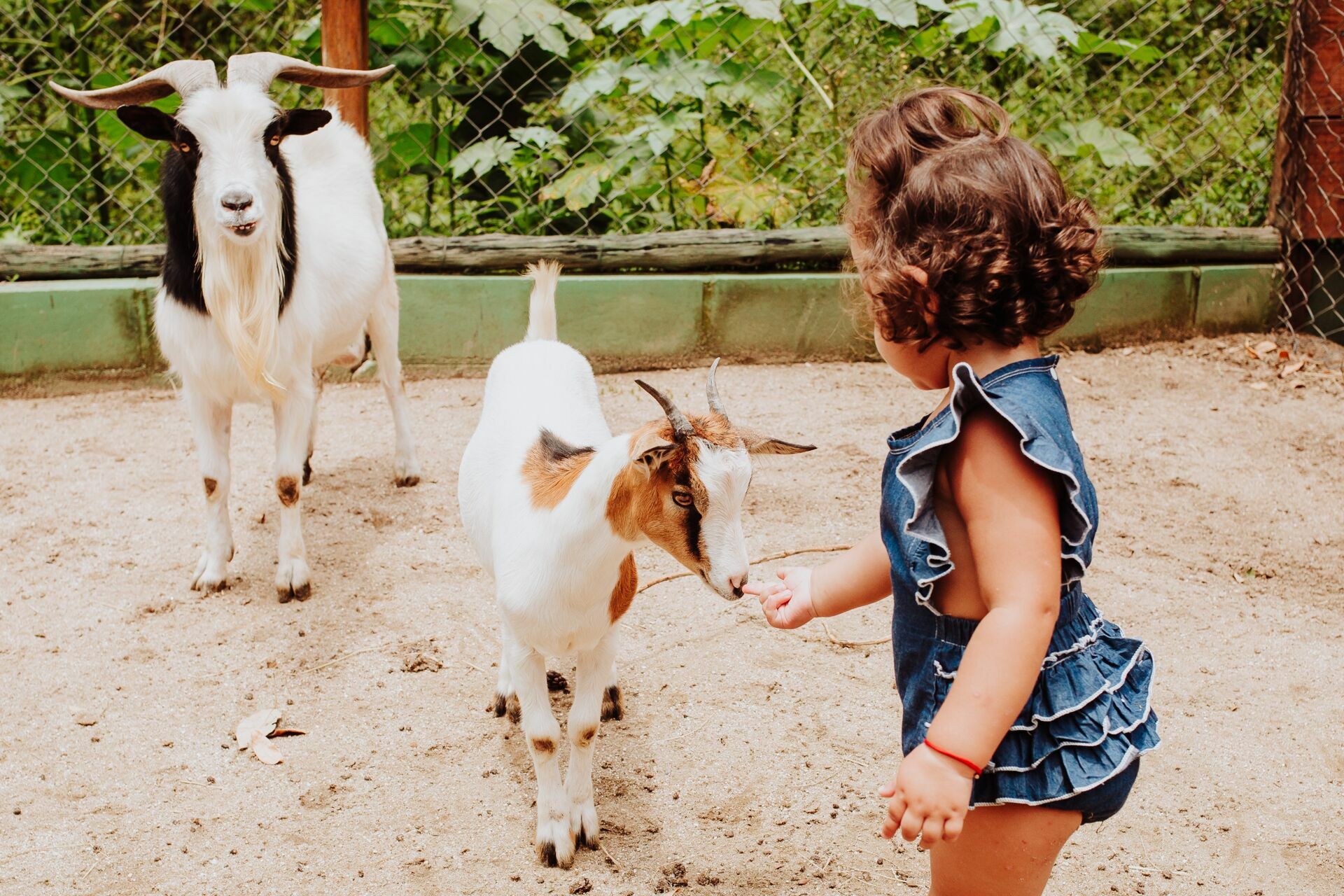 Foto Ensaio Laura - 2022 - Imagem 24