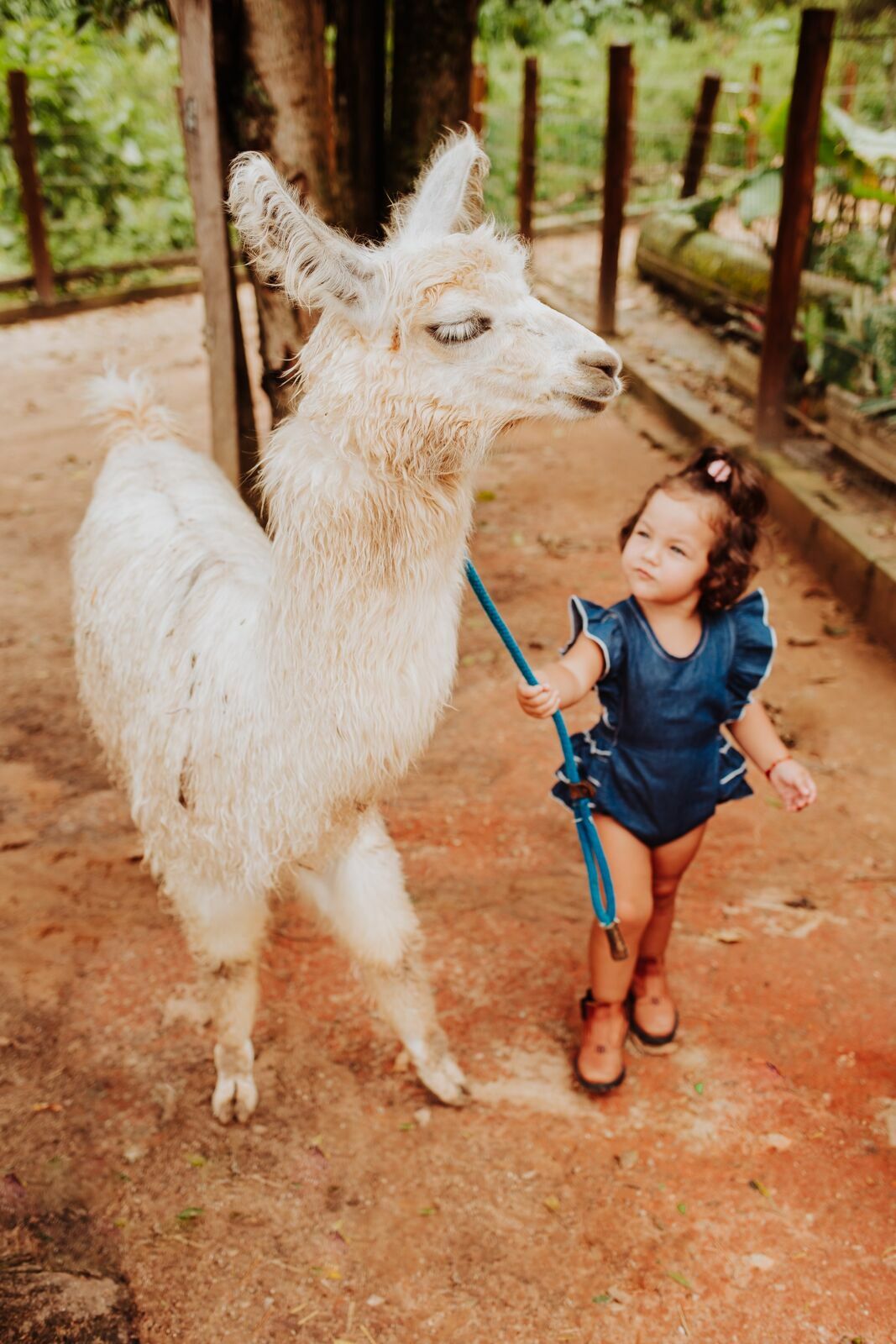 Foto Ensaio Laura - 2022 - Imagem 23