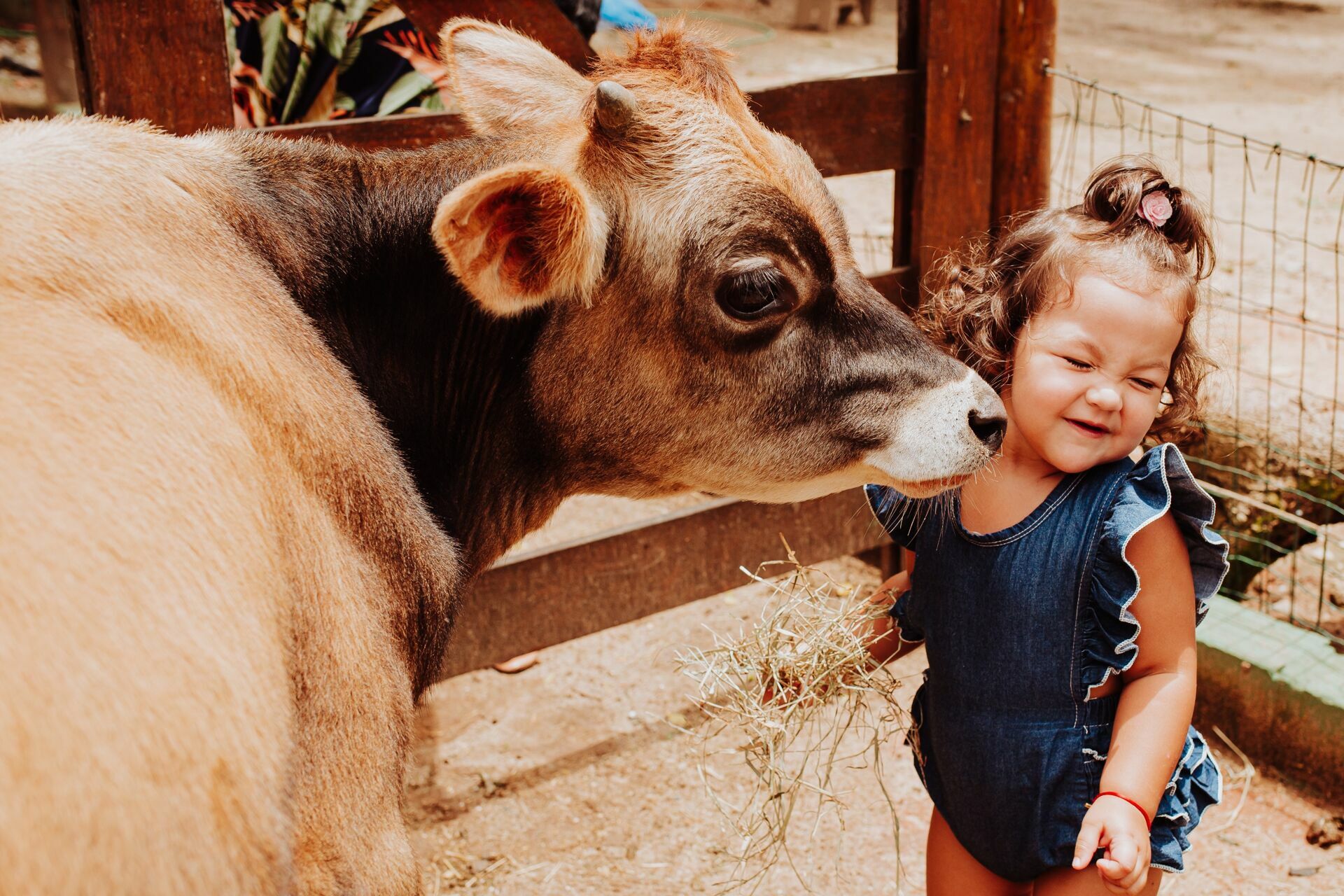 Foto Ensaio Laura - 2022 - Imagem 20