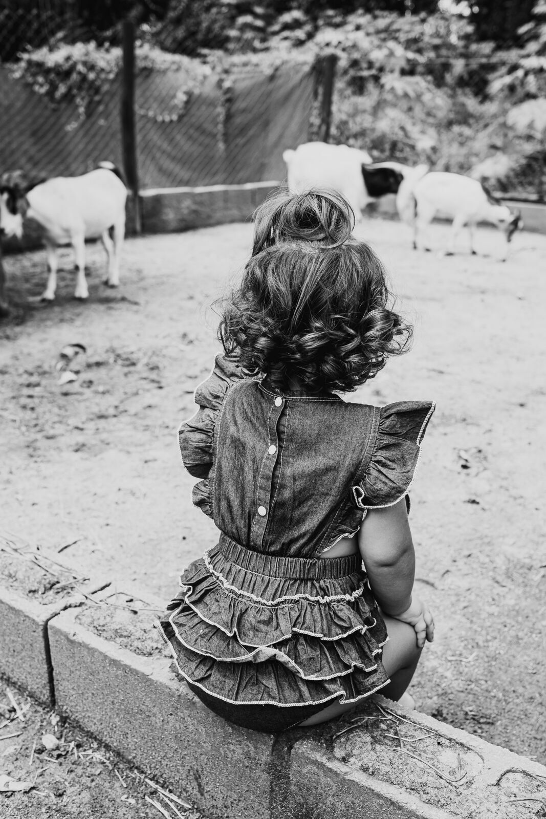 Foto Ensaio Laura - 2022 - Imagem 26